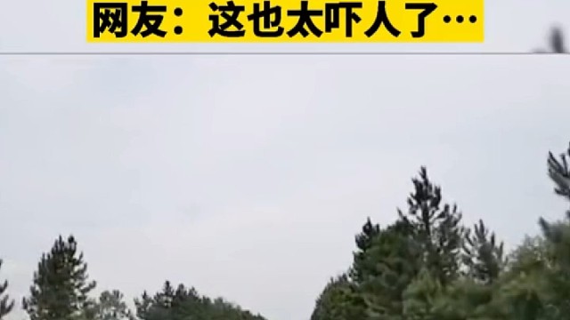 皮卡车跑着跑着轮胎掉下来了……万幸的是人没事，后车无损伤