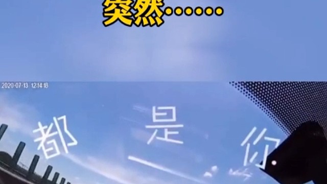 一条狗子引发的车祸，你们说这能怪狗吗？