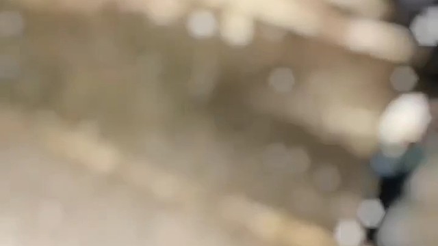 你们不要再打了