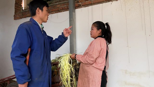 小伙提早干完活回家，进门见媳妇行为转身就走，看夫妻怎么相处？