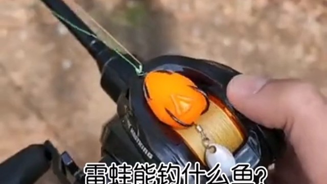 居然钓了个这东西，哈哈哈哈