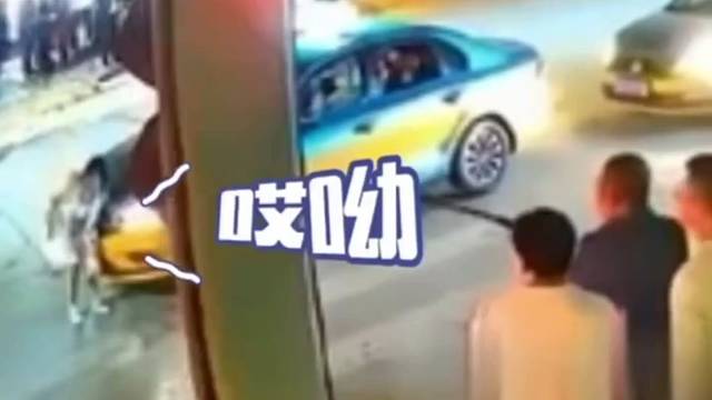 当着交警的面都敢碰瓷，你别跑呀