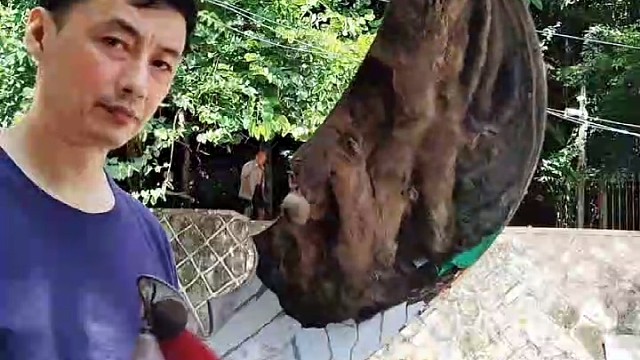 太极拳器械健身，非专业人士请勿摸仿。