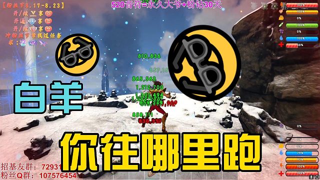【咩咩】白羊哪里跑，白羊：你不要过来啊!
