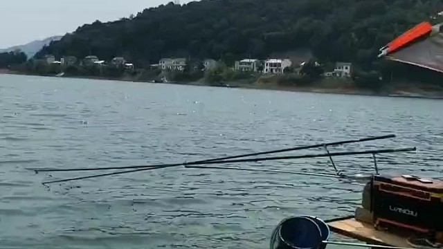 钓鱼界的天花板不接受反驳