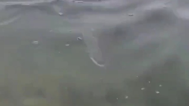 上了一条不太正经的鱼