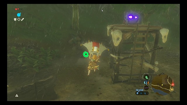 同伴去世后猪猪们的表现