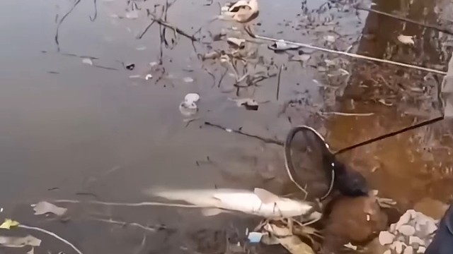 钓鱼人的搞笑瞬间