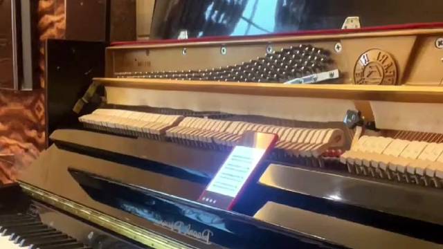 家人们我回来了