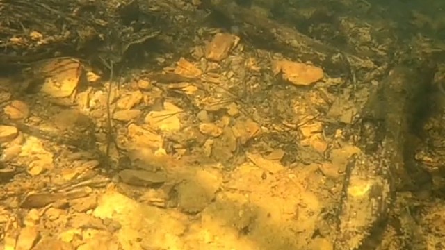 看鱼是怎么上当的