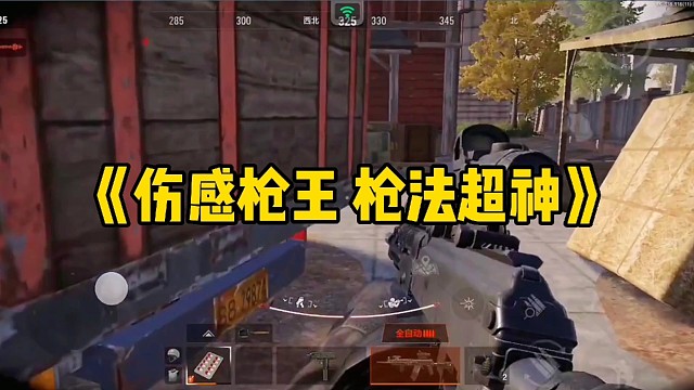 《伤感枪王枪法超神》