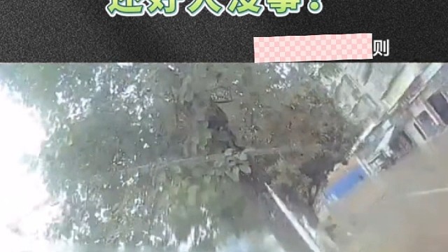 转弯不减速，发生的事故。还好系着安全带人没事！