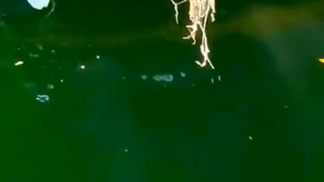 从来没见过这种情况，天呐一定要看到最后