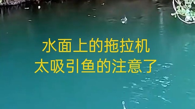 水面上的拖拉机，太吸引鱼的注意了