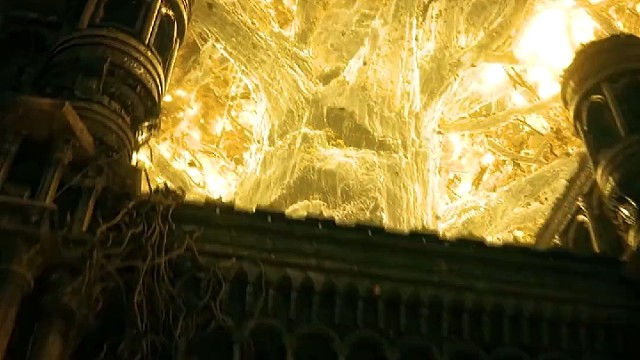 虽然豪华版与标准版差别不大，但我还是入的豪华版[看]我现在感觉身上爬满了老头环