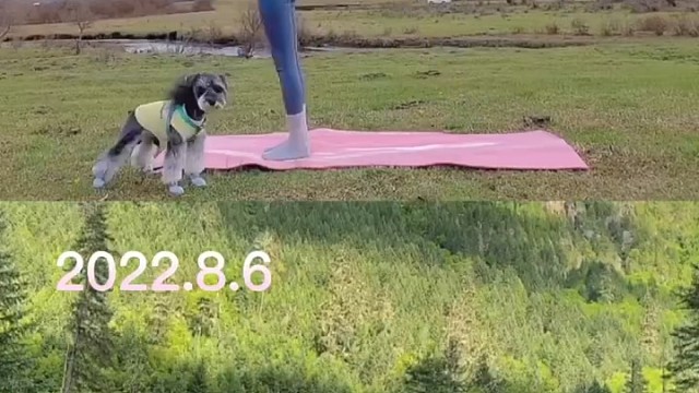 时隔一年，我在不同的地方练习了同一首歌曲