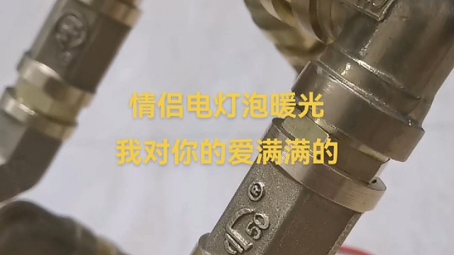 情侣电灯泡