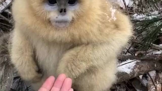 我发布了一个新视频，快来围观吧！