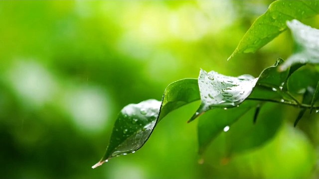 是不是男的都怕科一科四女的都怕科二科三