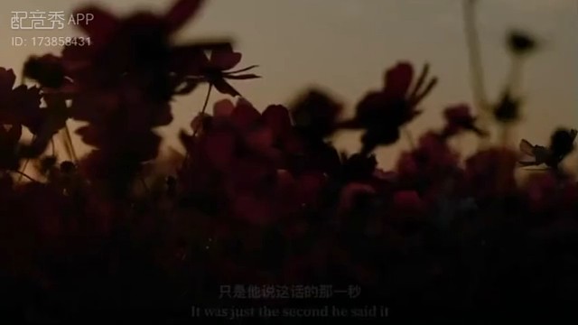 见过花开的人便会懂得风的温柔