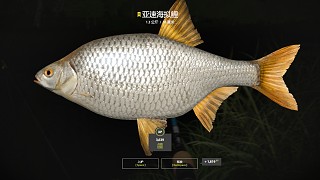 22圖北頓–星亞速（82星），起床第二桿，太突然了，都沒(méi)來(lái)得及開(kāi)直播
