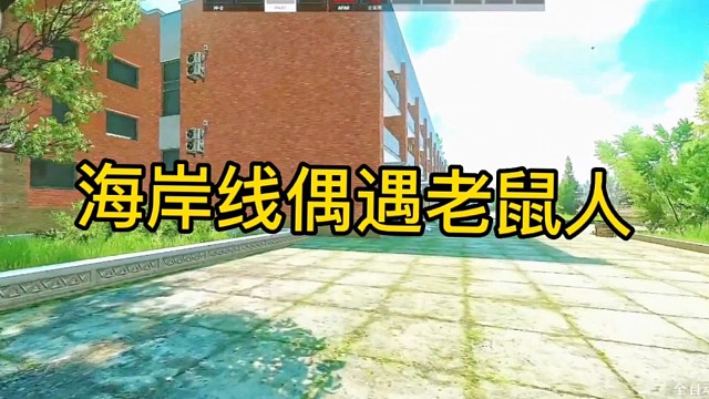 逃离塔科夫:海岸线偶遇老鼠人。