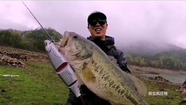 30厘米的大假饵钓60厘米的大鲈鱼