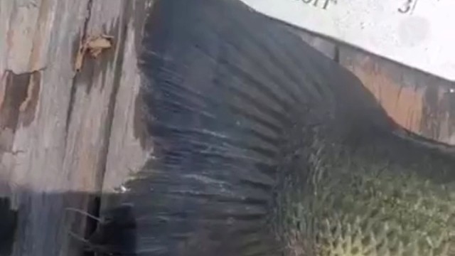 退后我要开始装逼了