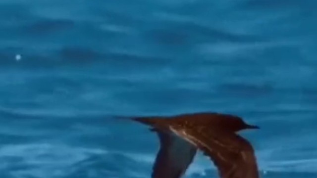 这逼装的像那么回事