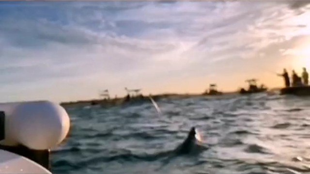 洗鳃之王，疯狂洗