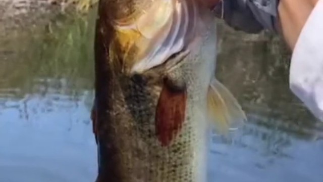 人必须要有点爱好