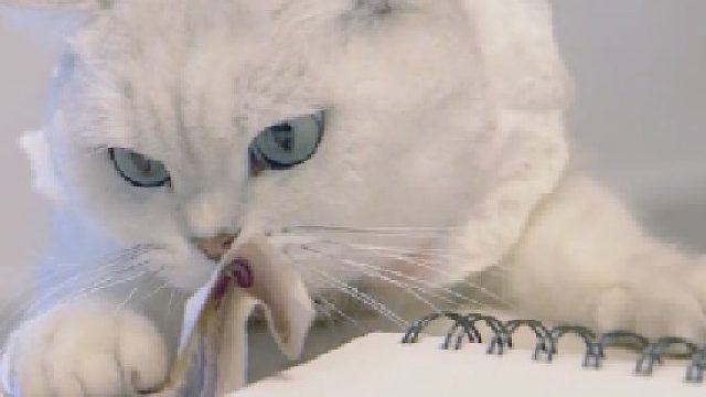 你居然偷偷往外顺东西？难道另又隐情？