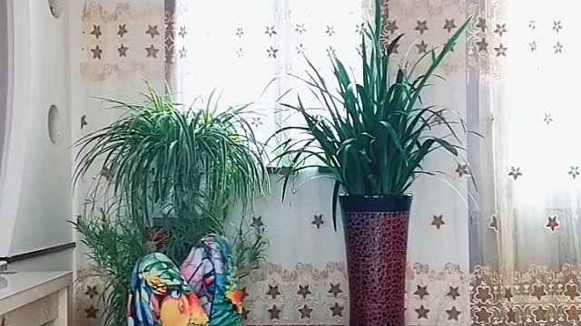 改善骨盆前倾，腰间盘突出