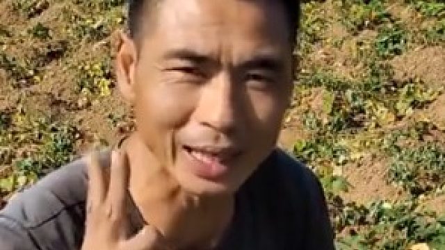 自家种的红薯被偷，农户淡定拍视频提醒：“过20天下手口感更好”