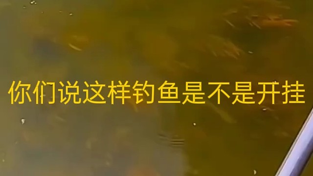 你们说这样钓鱼是不是开挂