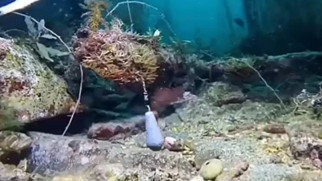 鱼是这样钓起来的！