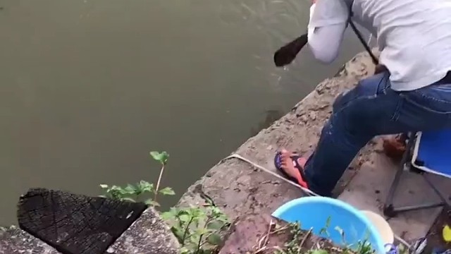 拿抄网哪位朋友你摊上大事了