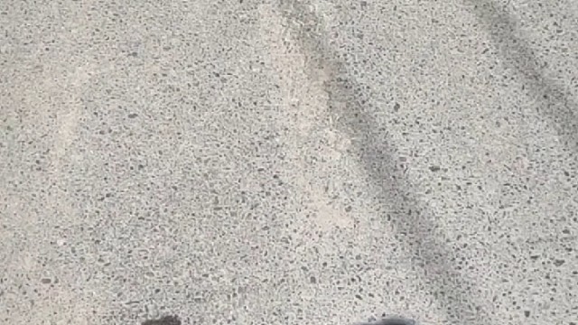 “你别再后退了，我不往前就是了”