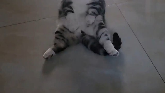 我觉得我坐着很酷