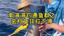 南海海钓遇到鱼群，金枪鱼狂拉不停，钓友们也纷纷中鱼，这样钓鱼太过瘾了 (1)