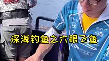 深海钓鱼之六眼飞鱼，太爽了，一丢下去就咬，这种鱼你们见过吗？ (1)