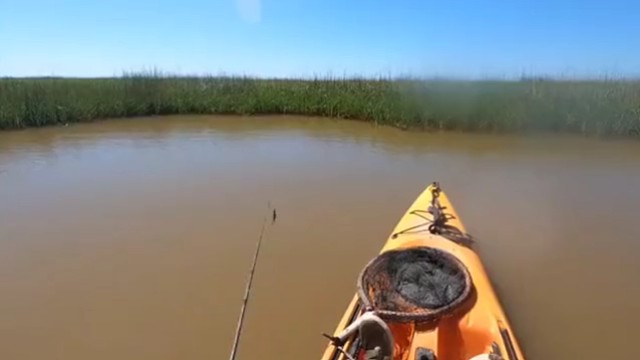 这真的是浑水摸鱼