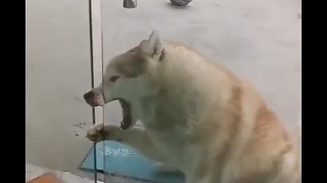 我的天呐，三分十秒的时候，哎，我又不纯洁了