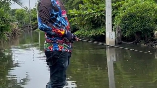 泰国钓鱼，钓个鱼太难啦！好不容易来一条，结果大家伙来了……