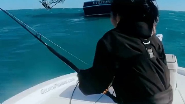 配合钓鲨鱼是一种什么体验