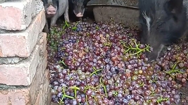 生活的比我还好