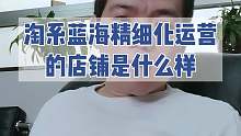 真正的淘系蓝海精细化运营的店铺是什么样