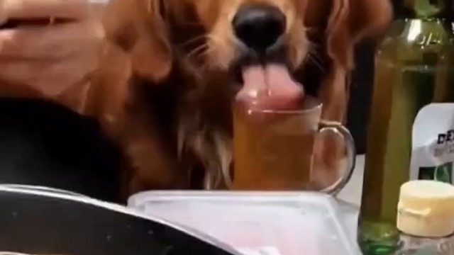 不能喝就别喝那么多