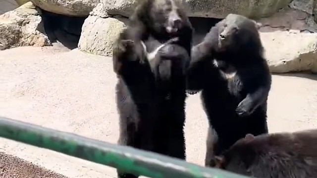 这是谁家熊孩子啊？这么坏？