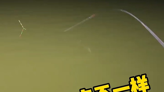 这条有点不一样